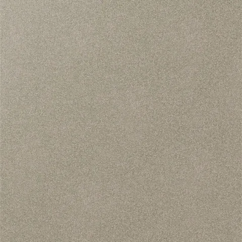 Tapenstry Beige carpet swatch